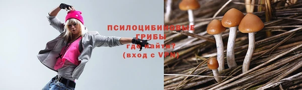 дурь Киреевск
